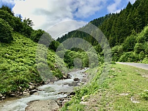 View of the Tamdere Stream in Dereli, Giresun photo