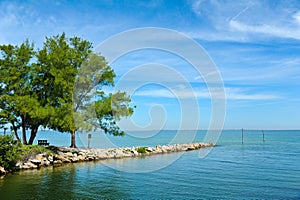 A View of Tampa Bay