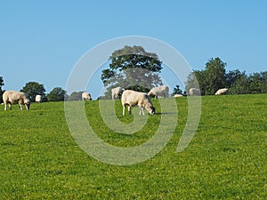 View of Tanworth in Arden