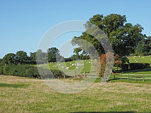 View of Tanworth in Arden