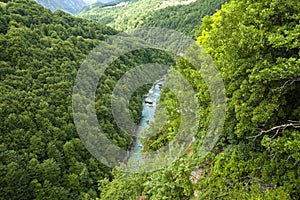 View of The Tara River Canyon, Durmitor National Park, Montenegro