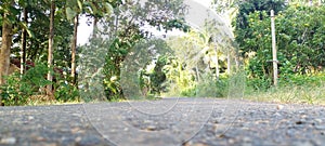 A view of a tarmac road in a rural environment with trees in Sri Lanka on a sunny evening.