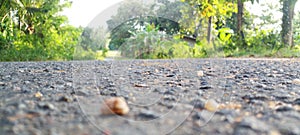 A view of a tarmac road in a rural green environment with sand and small stones in Sri Lanka.