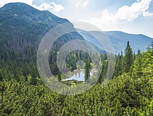 View on Tatliakovo jezero or pleso, mountain lake in Western Tatras mountains, Rohace Slovakia. Beautiful spruce forest