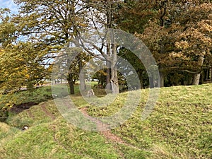 A view of Tatton Park in the Autumn sunshine