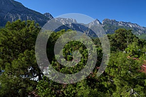 View of the Taurus Mountains, Mediterranean pines and the sea coast from the hotel. Rest in hotels of Turkey. Summer rest