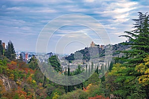 View of Tbilisi from the botanical garden