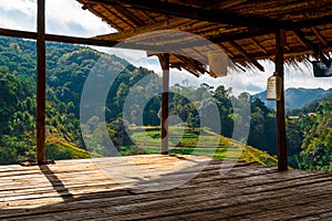 View of Tea plantation in the Doi Ang Khang