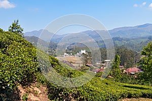 View of tea plantation valley in Munnar