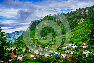 View on Tea Plantations And A Small Village In Mountains Near Haputale, Sri Lanka