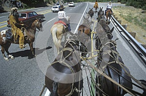 View of team of horses in wagon train