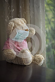 View of teddy bear with medial mask on its face