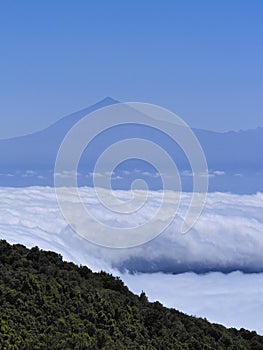 View of Teide from Mount of Garajonay on Gomera