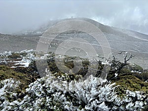 The view of Teide National Park on a cold day, iced plants and frost, clouds and volcanic mountains on the background, Tenerife,