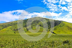 View of teletubbies hill in Bromo, East Java on a very sunny day.