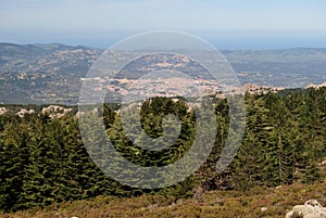 View of Tempio Pausania from Monte Limbara photo