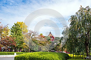 A view of the temple of Asakusa Schrein Senso-ji, Tokyo, Japan. Copy space for text.