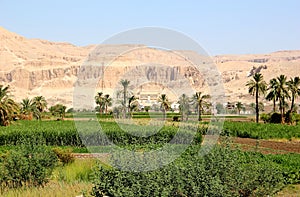 View on the Temple of Hatshepsut.