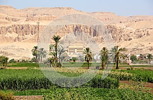 View on the Temple of Hatshepsut.