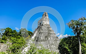 View of Temple No. 1t, Tikal, UNESCO World Heritage Site, Tikal National Park, Peten, Guatemala