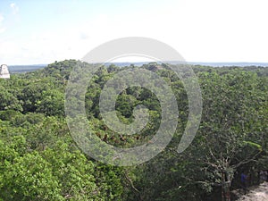 View from Templo IV, Tikal, Peten, Guatemala, Central America 1