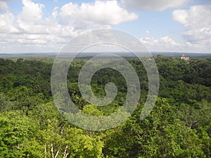 View from Templo IV, Tikal, Peten, Guatemala, Central America 10
