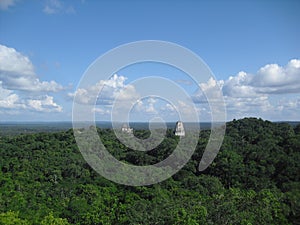 View from Templo IV, Tikal, Peten, Guatemala, Central America 10