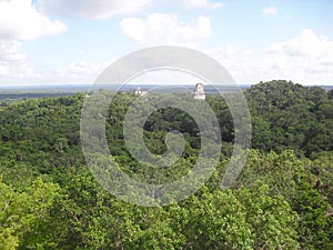 View from Templo IV, Tikal, Peten, Guatemala, Central America 11