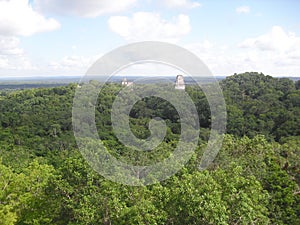 View from Templo IV, Tikal, Peten, Guatemala, Central America 11 photo