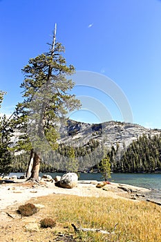 A view of Tenaya Lake in Yosemite national park