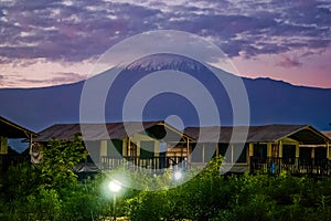 view of tent camp in the African savannah. Tents in the forest on the background of Mount Kilimanjaro in Africa