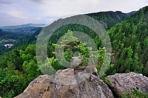 View from the Teplice Rocks