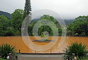 View on Terra Nostra geothermal hot springs water pool, Azores, Portugal