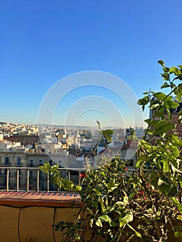 View from a terrace