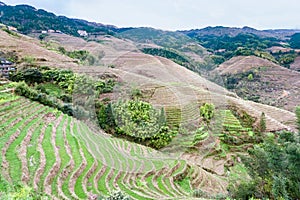 view of terraced fields and cottage in Tiantouzhai