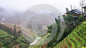 view of terraced fields of Tiantouzhai village