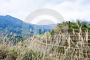 view of terraced hill in Dazhai country in spring