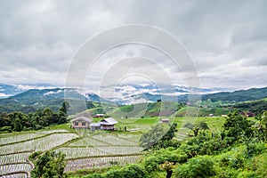View Terraced Paddy Field in Mae-Jam Village, Chaingmai