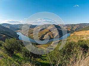 View of the terraced vineyards in the Douro Valley and river near the village of Pinhao, Portugal. Concept for travel in Portugal