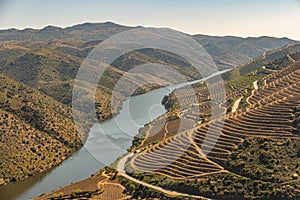 View of the terraced vineyards in the Douro Valley and river near the village of Pinhao, Portugal. Concept for travel in Portugal