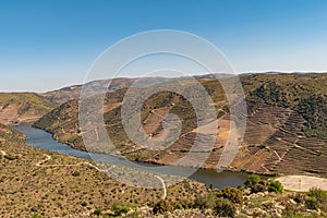 View of the terraced vineyards in the Douro Valley and river near the village of Pinhao, Portugal. Concept for travel in Portugal