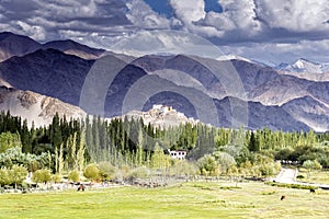 View of Thiksey gompa through the Indus valley in Ladakh, India