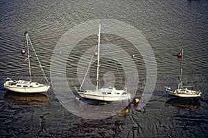 View of three white boats stranded at the low tide of river Thames banks in the evening