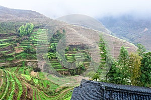 view from Tiantouzhai village terraced fields