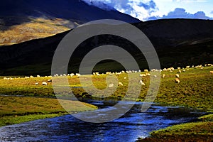 View in Tibet
