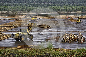 Timber and logging industry in Ladysmith, Vancouver Island