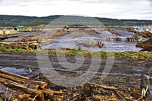 Timber and logging industry in Ladysmith, Vancouver Island
