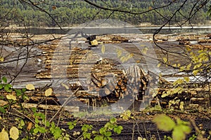 Timber and logging industry in Ladysmith, Vancouver Island