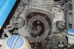 View of the timing chain drive of the internal combustion engine installed on the car