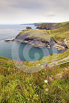 View from Tintagel